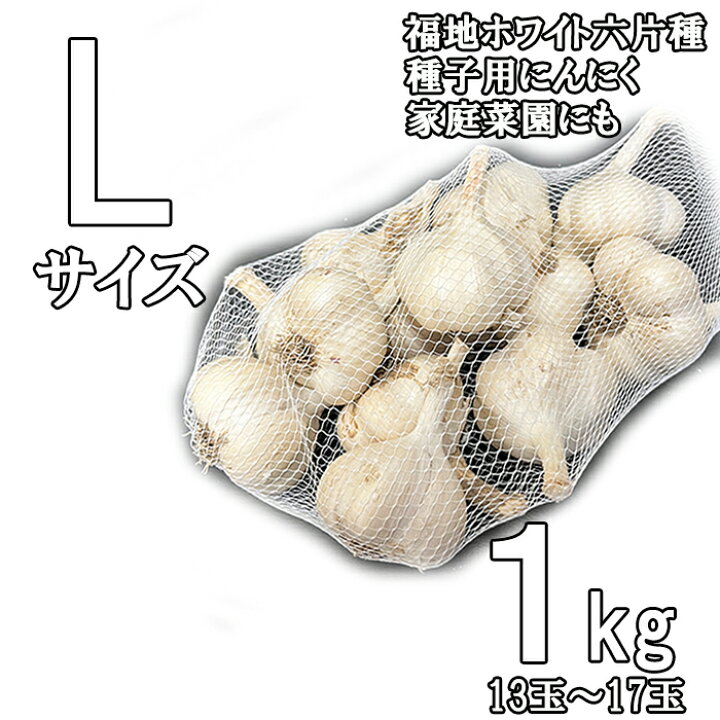 楽天市場】にんにく 種子用 青森産 L玉 1kg 青森にんにく 乾熱処理 