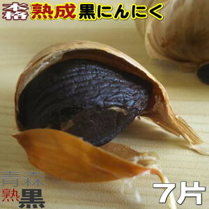 ɂɂ 7 XY Ki  @yjjN o Yz yɂɂ  Aiz y{inɂɂ 7Ёz