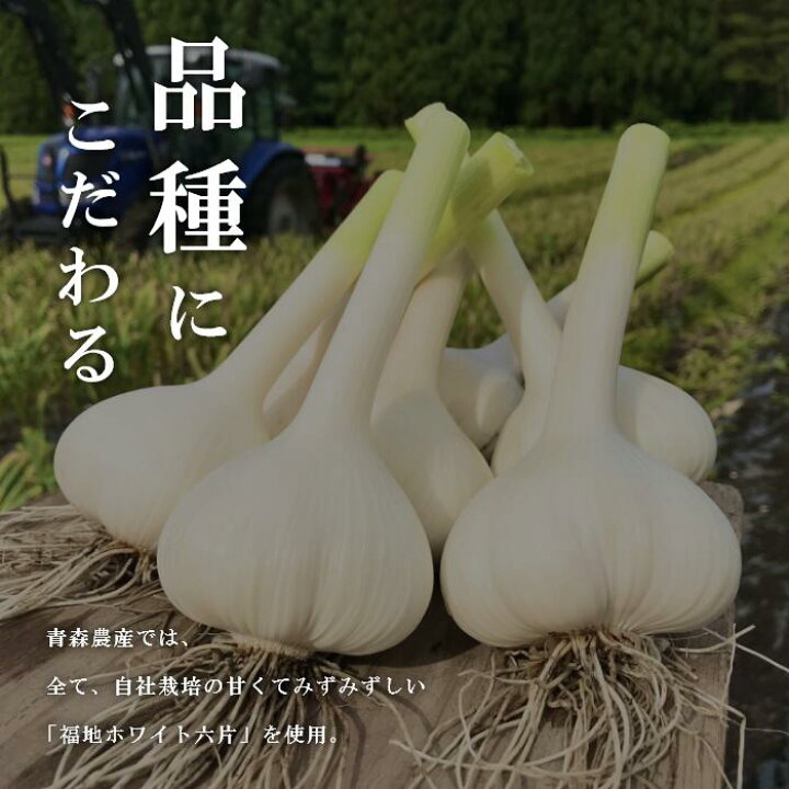楽天市場】黒にんにく 新物☆ 【送料無料】お試し 健康 青森県産 