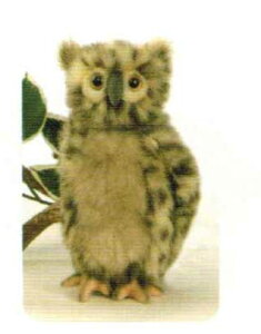 nTtNE22HANSAOWLӂ낤̂ʂ