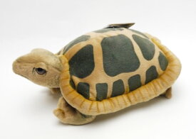 【残り1点】【再入荷しました】【即納】【送料込】ハンサカメ28cmHANSA TURTLEかめのぬいぐるみ