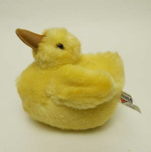 y[znT qK HANSA WILD DUCK CHICK q삪̂ʂ