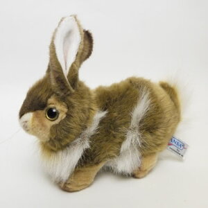 y܂I[zyznT ETM23cmHANSA BUNNŶʂ