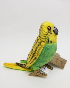 yc1_zO[ZLZCCR21cmHANSA BUDGERIGAR GREEN̂ʂ
