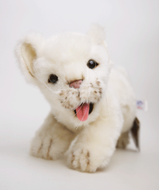 【残り1点】【2016年新作！即納】ハンサ 子ホワイトライオンスタンディング42cmHANSA WHITE LION CUB子シリーズ