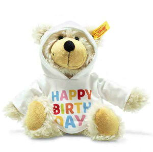 y[zSteiff V^Ct efBxA ʂ ԕi 2019Nt `[[ nbs[o[Xf[ _OOefBxA with HOODY