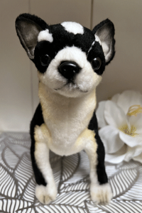 y[znT ` 27cm HANSA CHIHUAHUA DOG ̂ʂ