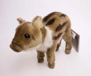 yēׂ܂zy[znT CmVV̎e23cmHANSA WILD PIG BABŶ̂ʂ