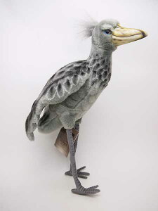 yc1_zijnT nVrRE35cmijHANSA SHOEBILL BIRD͂т낱̂ʂ