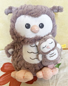 y[zV^Ct efBxA Steiff ʂ ԕi 2018N Ollie I[ tNE eq IS[