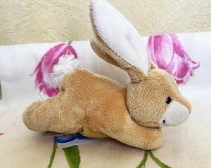 V^Ct efBxA Steiff ʂ ԕi }Olbg rbg