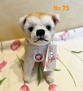 y񂹁zyVizV^Ct efBxA ʂ { 2021N ČxCr[