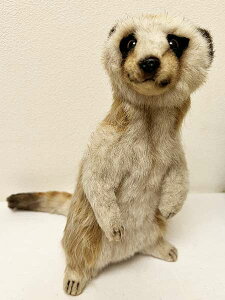 y[znT ~[ALbg 26cm ʂ HANSA MEERKAT SITTING yc1_z