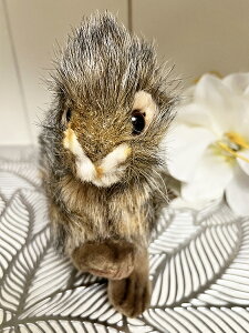 yznT ETM25cmHANSA Rabbit Black Tailed Crouchinĝʂ