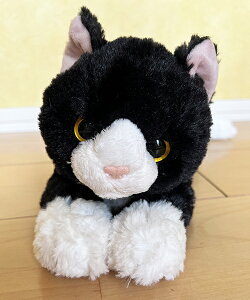 y[zЂ˂V[Ywn`x̒ 45cm