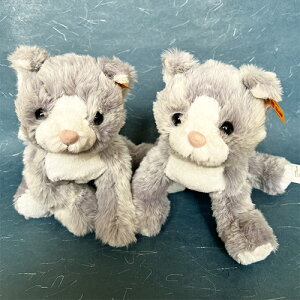 yēׁzyVzSteiff V^Ct efBxA ʂ 2022N ԕi \tgJh[tYV[Y uLV[Lbgv ˂̂ʂ