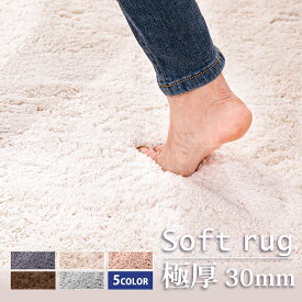 ★楽天1位★【密度x3倍！極厚30mm】ふわふわ ラグ 洗える 100×140 140×200 200×250cm 1.5畳 2畳 3畳 カーペット 厚手 厚い 高密度 ラグマット おしゃれ 高反発 滑り止め付 ラグカーペット 撥水 冬用 ホットカーペット対応
