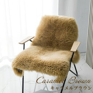 y10/30 N[|10%OFFzyV1ʁōVR[gO iEx̂ӂӂ타[g pږ CƖ [gO 60x90 60x120 CуO At@[ AV[