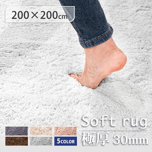 yV1ʁyxx3{IɌ30mmzӂӂ O 􂦂 200×200 2 J[ybg   x O}bg  k  ~ߕt OJ[ybg k  ~p zbgJ[yb