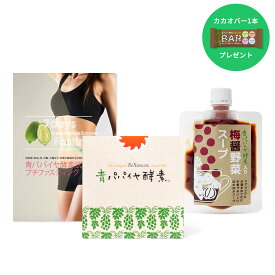 青パパイヤ酵素式 プチファスティングセット 青パパイヤ酵素 公式 バイオノーマライザー 酵素 ファスティング 梅醤野菜スープ カカオバー ファスティングキット 青パパイヤ ダイエット 発酵食品 粉末 ギフト 健康 美容