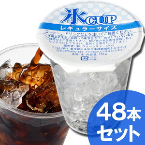 VR̕XJbviM[TCYj48iƖpj