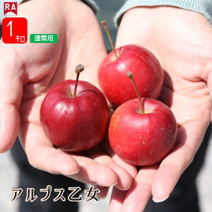  X AvX P 10{  Yn S 񂲈 ٗp  t[c ь qS  Ԃ H tƂ炸