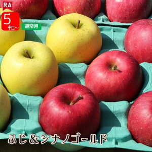  X tƂ炸Tӂ&VimS[h lߍ킹 11{ Ӑ  Yn S t[c ь  Ԃ F  H ~