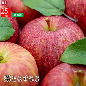 【11月下旬ころ発送】りんご 青森県産 葉とらずサンふじ 贈答用 冬ギフト 送料無料 産地直送 リンゴ フルーツ 林檎 くだもの 赤りんご 秋 冬 贈り物 お歳暮 お年賀 お礼
