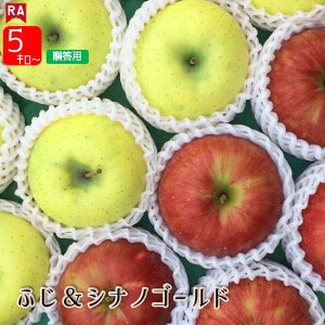 y11{딭z X tƂ炸Tӂ&VimS[h lߍ킹 p ~Mtg  Yn S t[c ь  Ԃ  H ~ 蕨 Ε 