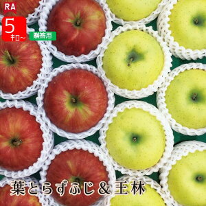 y11{딭z XY tƂ炸Tӂ& lߍ킹 p ~Mtg  Yn S t[c ь  Ԃ  H ~ 蕨 Ε N 