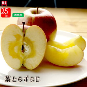 y11{딭z X tƂ炸Tӂ 11{ Ӑ  Yn S t[c ь  Ԃ H ~