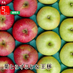 【11月中旬ころ発送】りんご 青森 葉とらずサンふじ&王林 詰め合わせ 11月中旬 晩生種 送料無料 産地直送 リンゴ フルーツ 林檎 くだもの 赤りんご 黄色りんご 青りんご 秋 冬