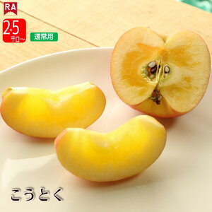 y12{딭z X Ƃ 12{ Ӑ  Yn S  t[c ь  Ԃ  H ~