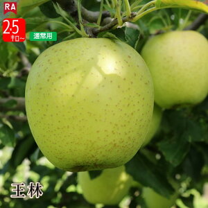 【11月上旬ころ発送】りんご 青森 王林 11月上旬 晩生種 送料無料 産地直送 リンゴ フルーツ 林檎 くだもの 黄色りんご 青りんご 秋 冬 Sサイズ