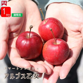 りんご 青森 アルプス乙女 姫りんご スマートフレッシュ CA貯蔵 送料無料 産地直送 リンゴ りんご飴 製菓用 中生種 フルーツ 林檎 ヒメリンゴ くだもの 赤りんご 春 夏