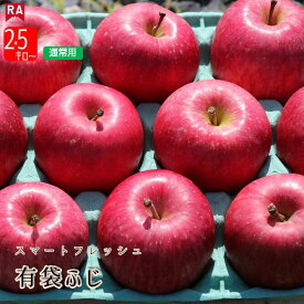 りんご 青森県産 有袋ふじ スマートフレッシュ CA貯蔵 送料無料 産地直送 リンゴ フジ フルーツ 林檎 くだもの 春 夏 デザート