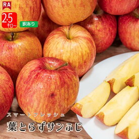 【訳あり】りんご 青森 葉とらずサンふじ 規格外 スマートフレッシュ CA貯蔵 特別貯蔵 送料無料 産地直送 キズあり リンゴ フルーツ 林檎 くだもの 赤りんご 春 夏