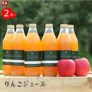 񂲃W[X 1Lr ʏ` 100 Y  X n Xg[g AbvW[X Z t[c ʕ  S  Mtg v[g  ь Y tbV h