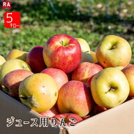 【無くなり次第終了！10kgが今なら2,980円！】りんご 加工用 ジュース用 大小混合 バラ詰め 送料無料 青…