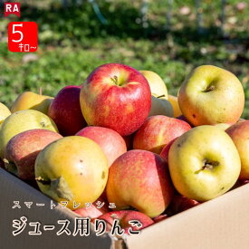 加工用 りんご 訳あり ジュース用 CA貯蔵 スマートフレッシュ 送料無料 青森県産 規格外品 品種混合 傷あり ジャム用 りんごジュース スムージー ジャム お菓子 アップルパイ コンポート リンゴ 林檎 アップル 青森りんご 産地直送 農家直送