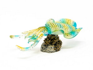 tFobg(Favorite) ANAtBbV ~jf AICJ AF-202 AICJObY AICJ tBMA A Cm C i i GMO Gނ LN^[ LN