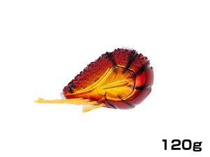 W[NbN(GEECRACK) CVʃX[(EBIDAMA THROUGH) 120g #002 bhS[hGr V Uwbh ^ }_C ^Co ⃉o Ju LXo C`N {[g ItVA Q[tBbV