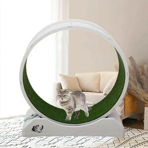 LbgzC[ L 񂵎 bNu ÉmCY Lp[i[ L jOzC[ LbgEH[N ^s XgX LbgjO}V ^Lp 