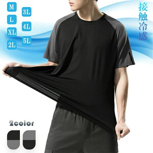 ⊴ tVc Y hC ĕ  z ڐG⊴  n UVJbg jtH[ N[lbN  傫TCY N[tVc R L  ۋ ₽  ʋC