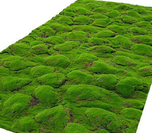 RuX lH ۃ}bg tFCNO[ lHA  Ő}bg lHۃ}bg lH V[g lH Ő}bg lHϗtA