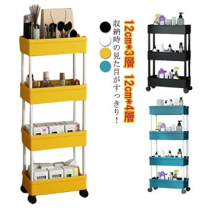 Lb`S LX^[t X 3i 4i ܎[ 12cm S XS Xg[[  [   Ԏ