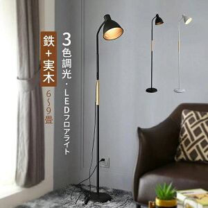 tAv X^hCg  k LEDΉ CeAƖ tACg A[`^ ؖ ؐ tA[X^hƖ Ǐ fUCi[ d iCgCg 邢 u xb