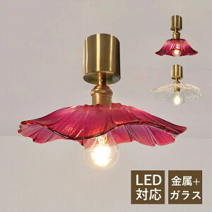 V[OCg k LEDΉ  KX  Ԍ^ XehOX  a IV VƖ  xbh[ L _CjO Q rO t g V䃉Cg X