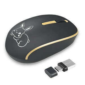 �}�E�X ���� �É� ���^ USB/type-c�ʗp �d�r�� Bluetooth 2.4GHz LED���w�� ���C�����X Mouse 3�{�^�� �����x �����x �y�� DPI���� ����