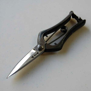 ̋`@@210mm
